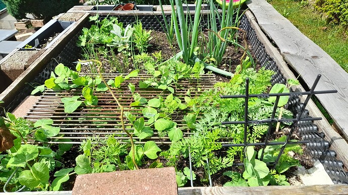 Growreport Bild 34