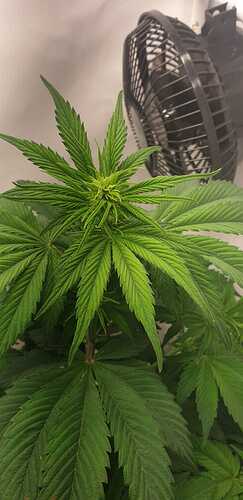 WhatsApp Image 2024-05-19 at 12.14.37 (2)