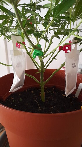 Growreport Bild 3