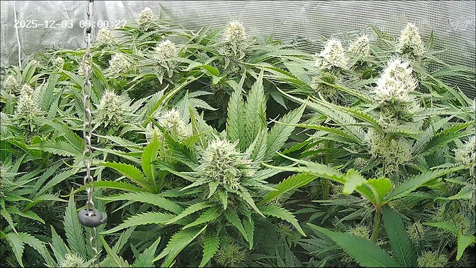 Growreport Bild 5