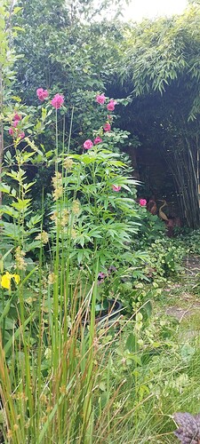 Growreport Bild 22