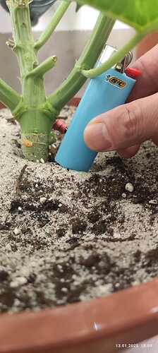 Growreport Bild 4