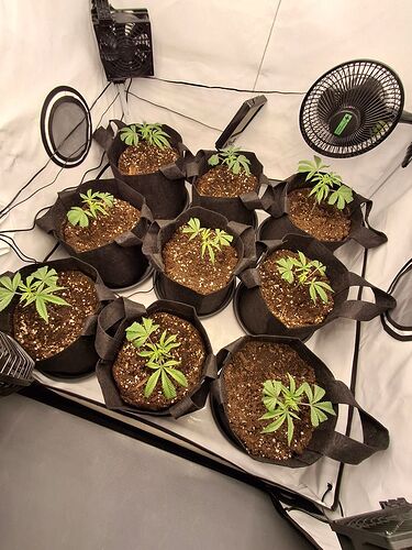 Growreport Bild 17