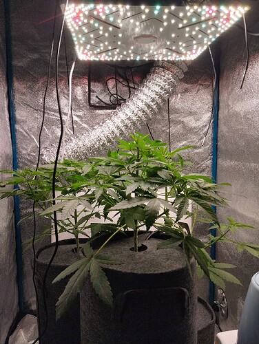 Growreport Bild 14