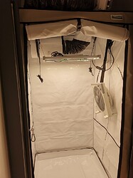Growreport Bild 1