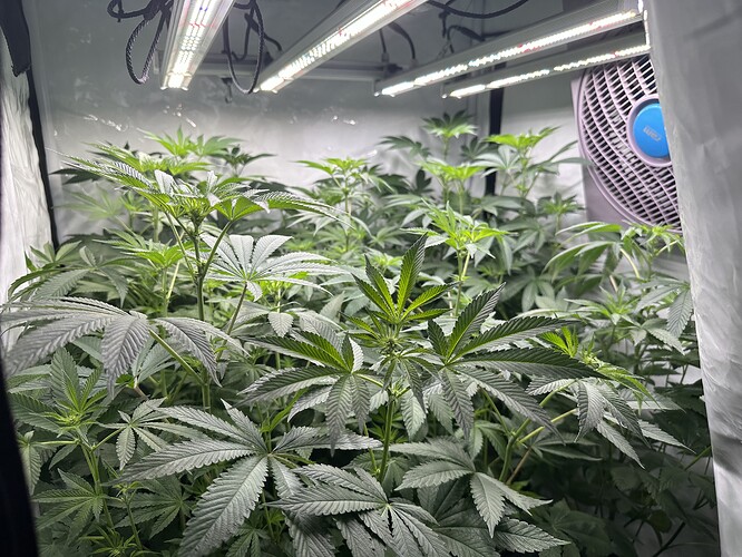 Growreport Bild 1