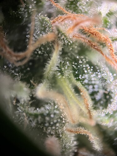 Growreport Bild 20