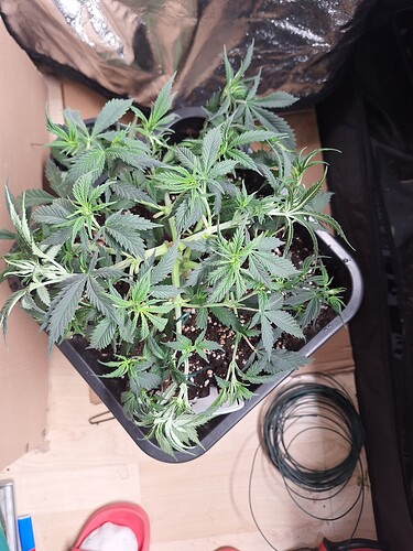 Growreport Bild 14