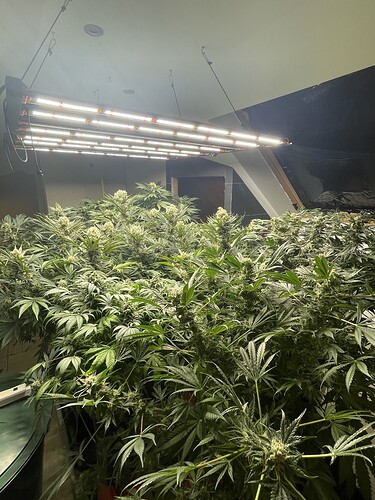 Growreport Bild 6