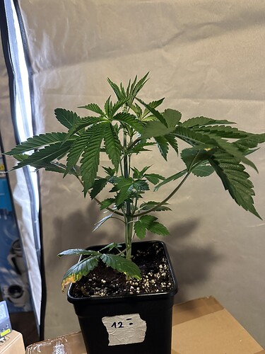 Growreport Bild 2
