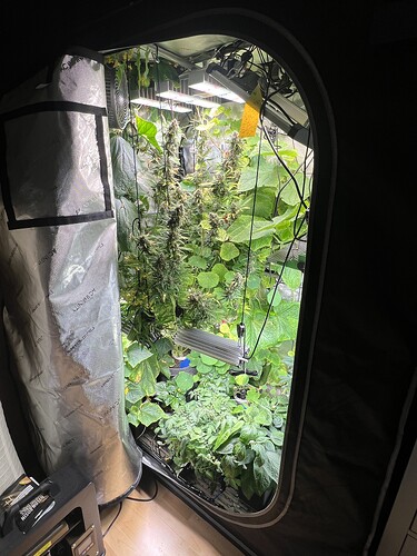 Growreport Bild 13