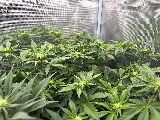 Foto 03.01.26, 06 32 03