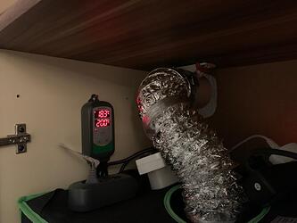 WhatsApp Bild 2024-12-10 um 17.07.28_c61cd891