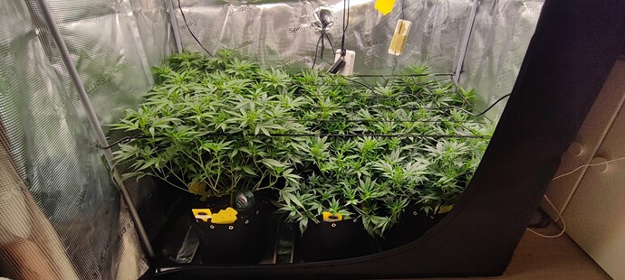 Growreport Bild 12