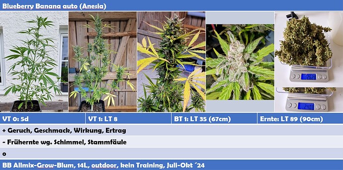 Growreport Bild 3