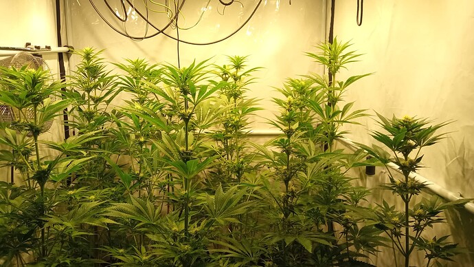 Growreport Bild 12