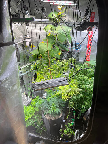 Growreport Bild 1