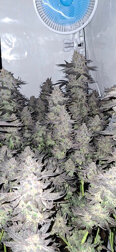 Growreport Bild 10