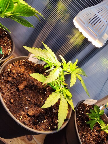 Growreport Bild 10