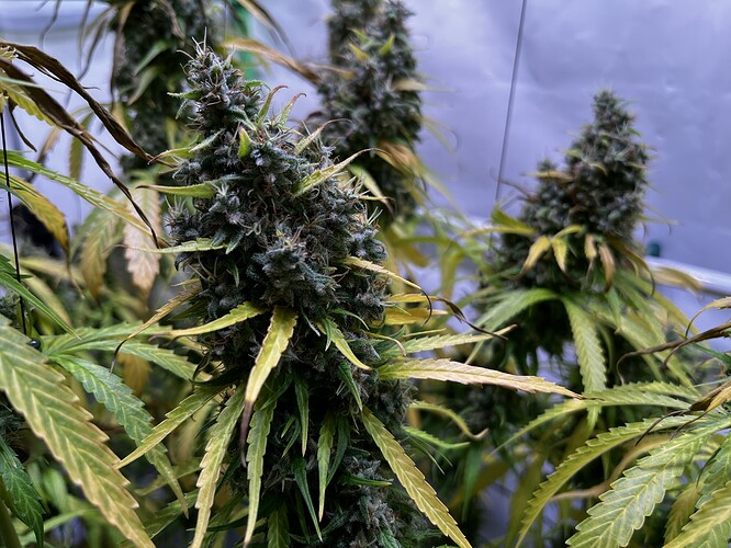 Growreport Bild 14