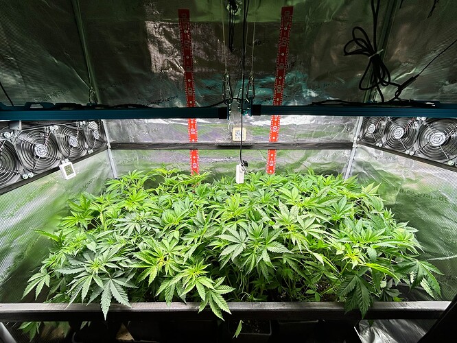 Growreport Bild 4