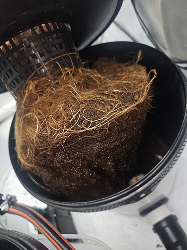 Growreport Bild 24