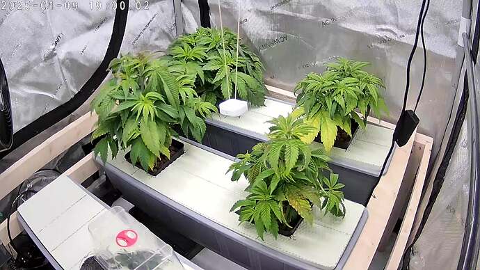 picture_20250109_190001