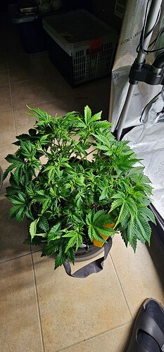 Growreport Bild 8