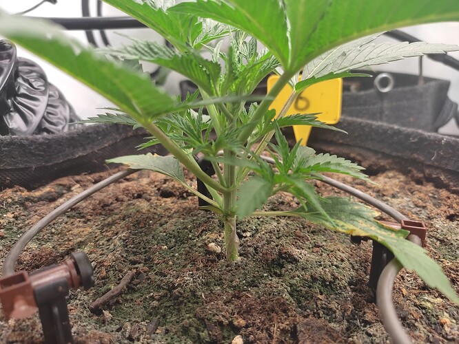 Growreport Bild 17