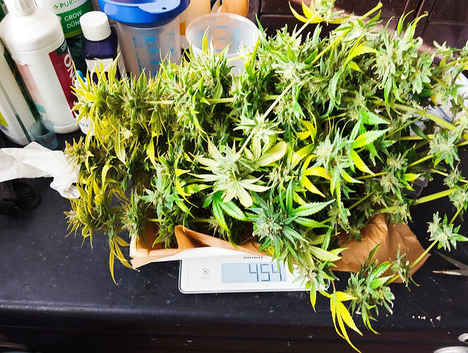 Growreport Bild 10