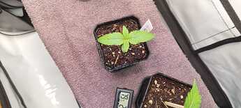 WhatsApp Image 2024-05-02 at 13.52.18 (2)