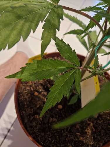 WhatsApp Image 2024-05-18 at 08.54.44 (1)