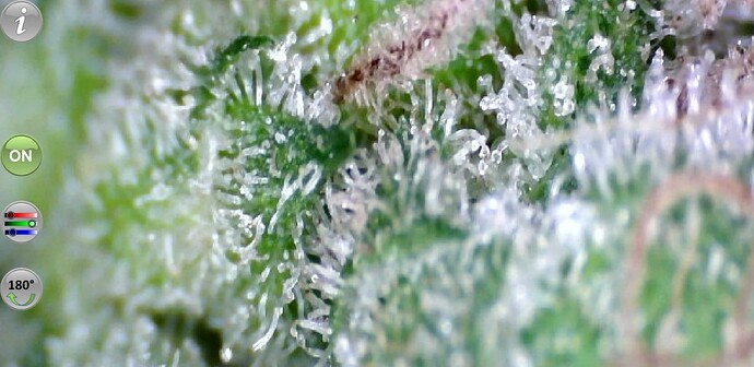 Growreport Bild 12