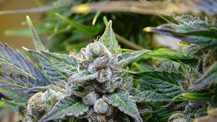 Growreport Bild 15