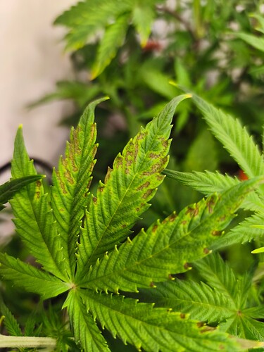 Growreport Bild 4