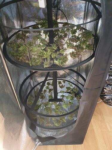 Growreport Bild 5