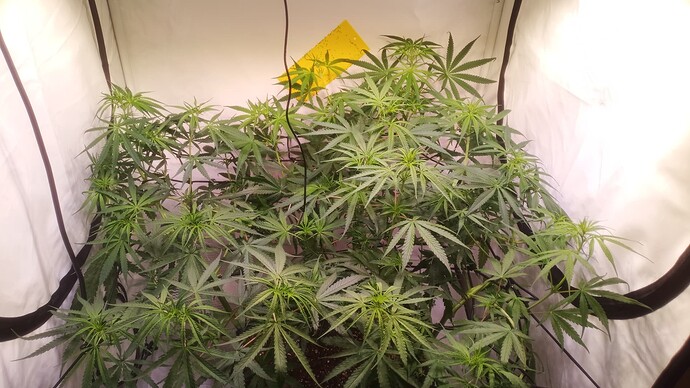 Growreport Bild 22