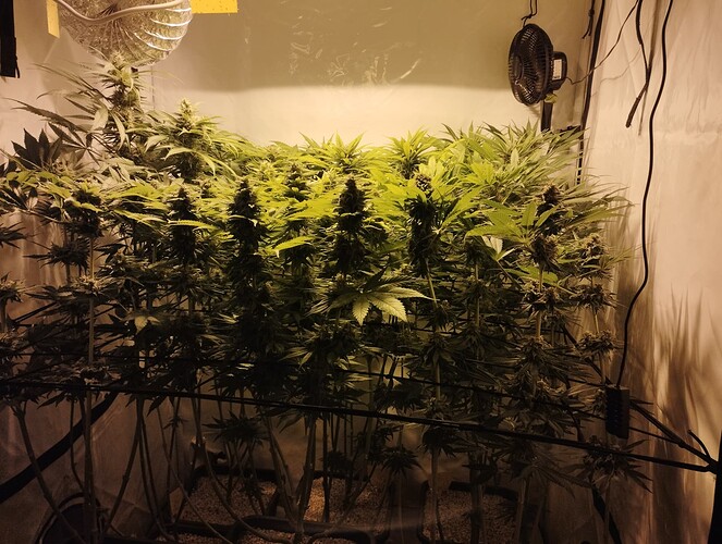 Growreport Bild 6