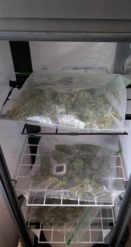 Growreport Bild 1