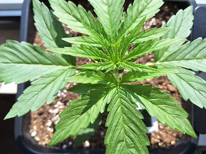 Growreport Bild 13
