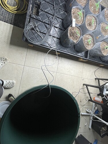 Growreport Bild 8