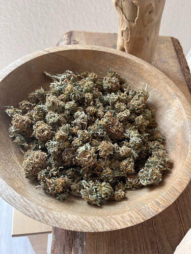 Growreport Bild 3