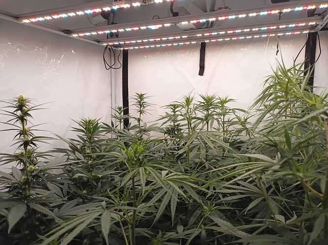 Growreport Bild 23