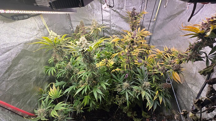 Growreport Bild 3