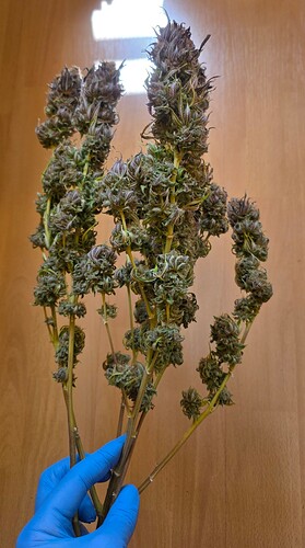 Growreport Bild 45