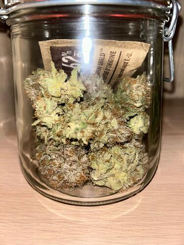 Growreport Bild 4