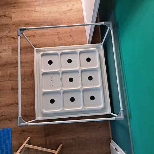 Growreport Bild 5