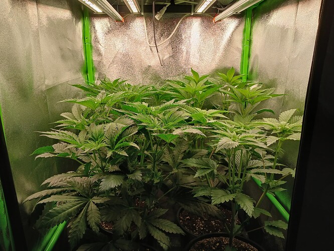 Growreport Bild 12