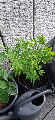 Growreport Bild 12
