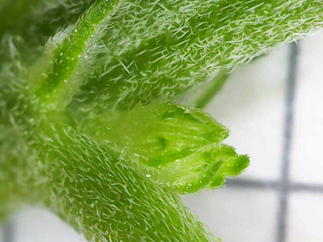 Image_2025-04-25 08_55_59_217